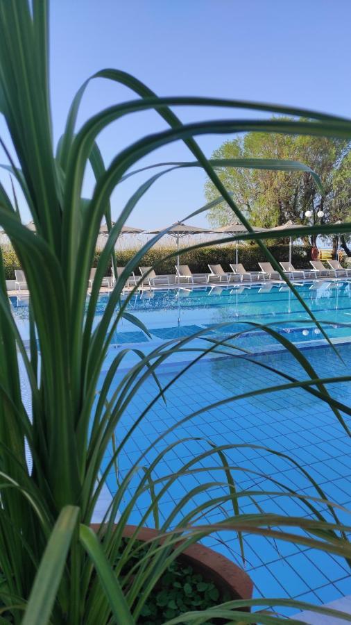 Kassandra Mare Hotel Неа-Потидеа Экстерьер фото