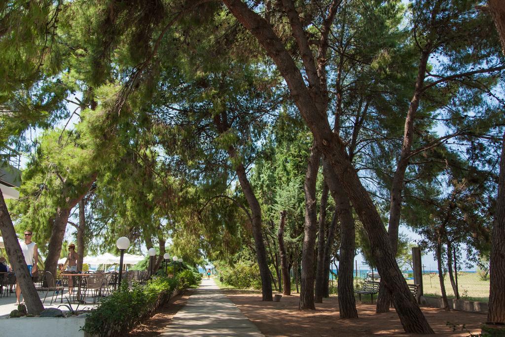 Kassandra Mare Hotel Неа-Потидеа Экстерьер фото